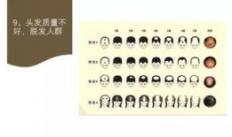 尚赫仪器手法视频,轻松掌握健康生活新技能